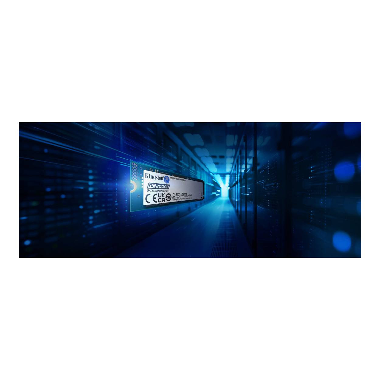 Kingston Enterprise DC2000B 960GB PCIe 4.0 M.2 2280 Internal SSD SEDC2000BM8/960G